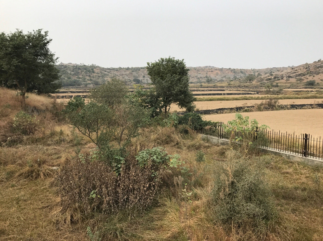 Jaulian Buddhist Monastery-Taxila必去景点