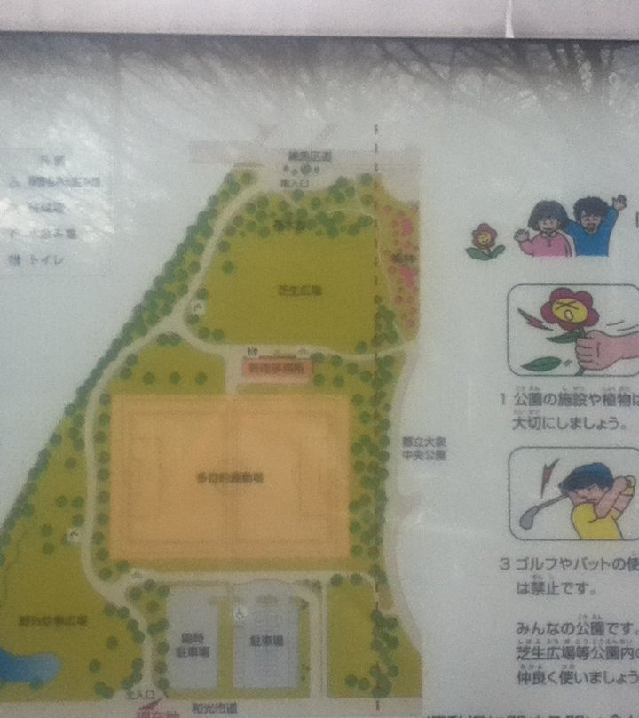 Oizumi Sakura Sports Park景点图片