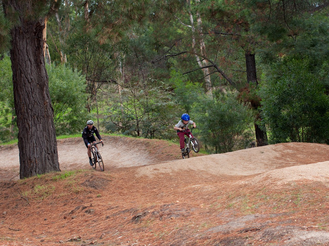 Anglesea Bike Park-安格尔西岛必去景点