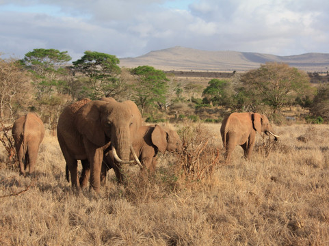 KenyaExpeditionLTD-蒙巴萨必去景点