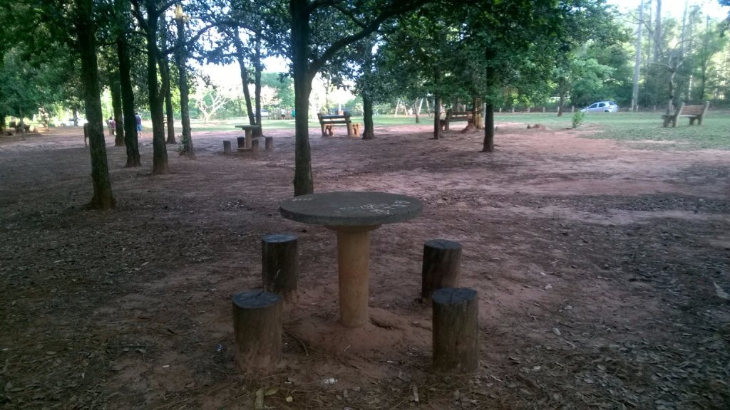 Horto Florestal de Bauru景点图片