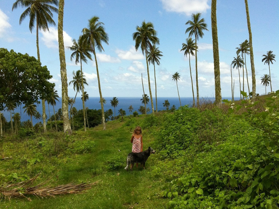 Epi Island Guesthouse主图