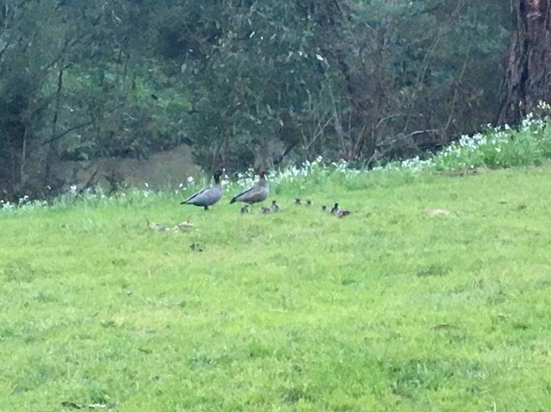 Shepherds Bush景点图片