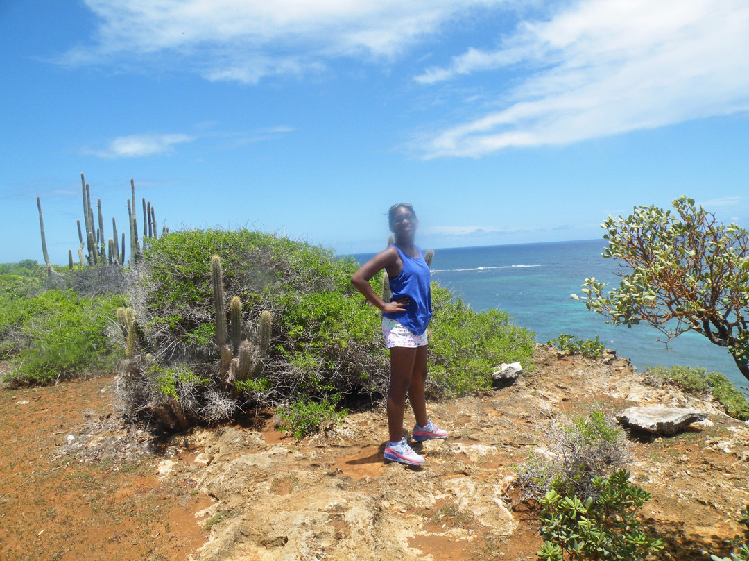The Caves at Two Foot Bay-巴布达必去景点