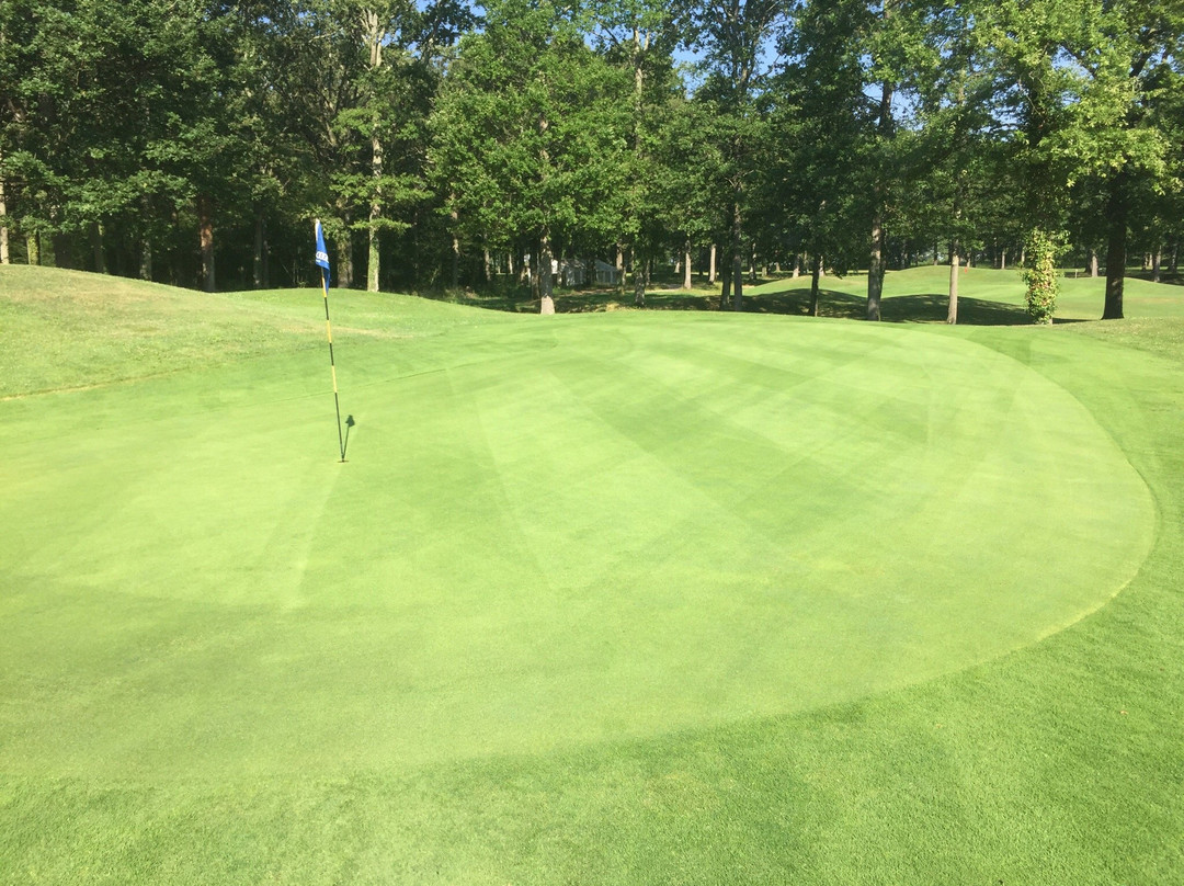 Golf Vichy Forêt de Montpensier景点图片
