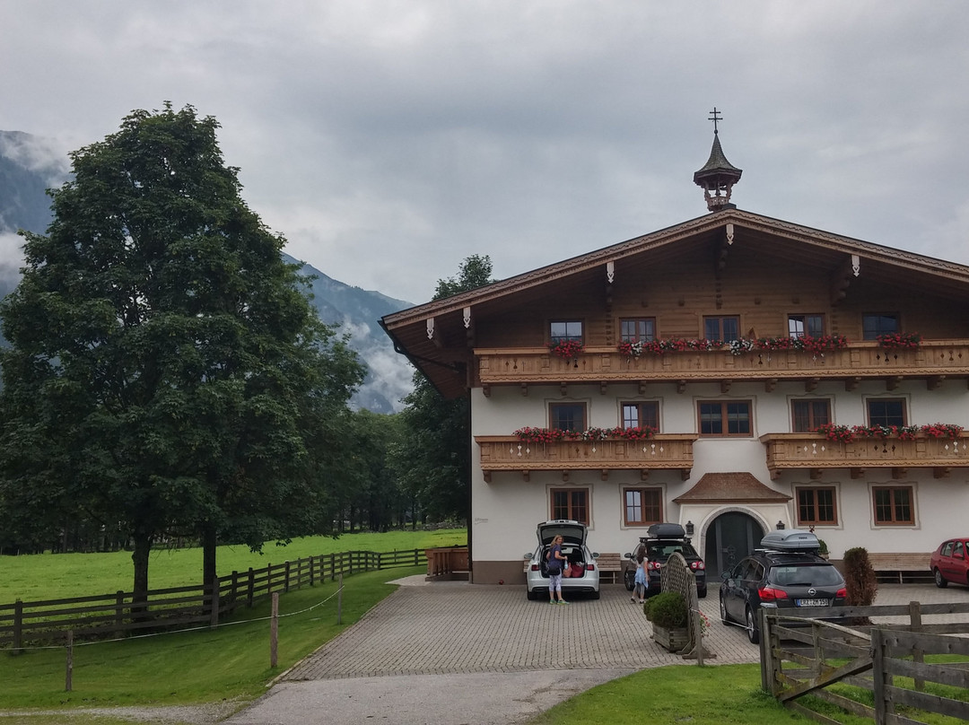 Wiselbauer