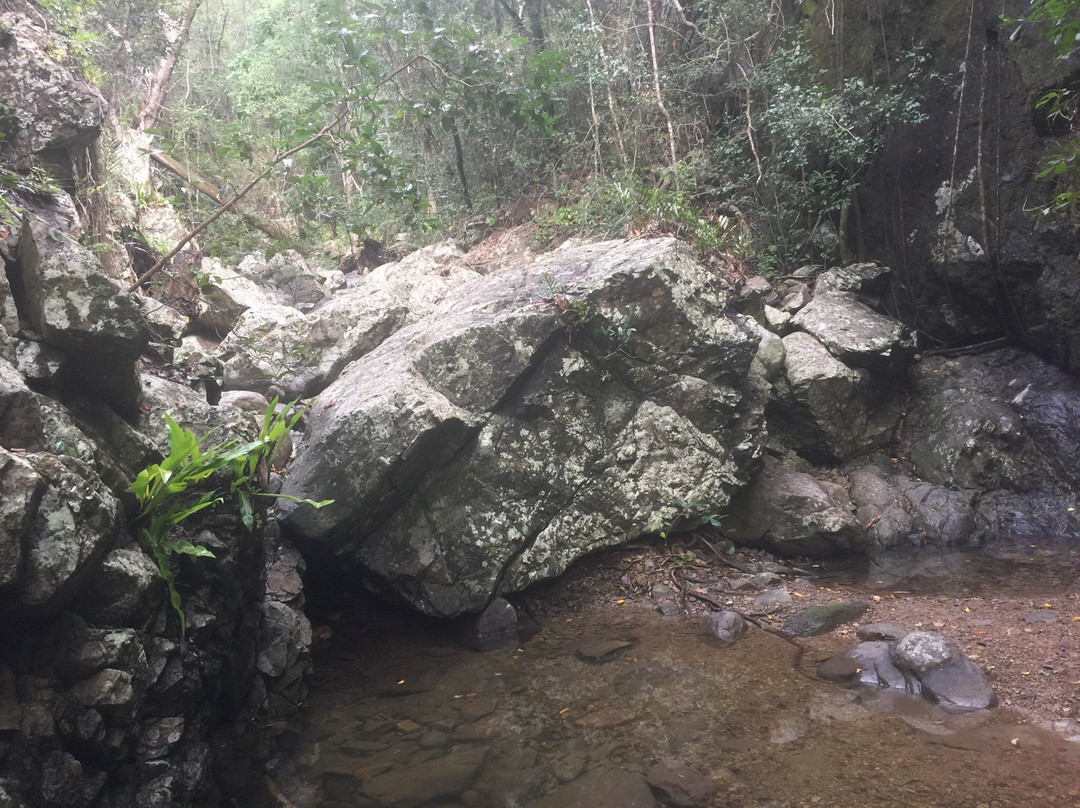 Airlie Creek Track-艾尔利滩必去景点