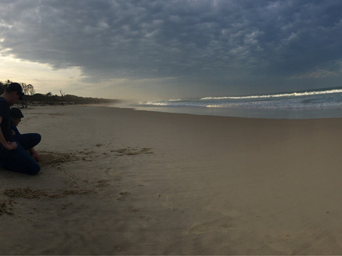 Scotts Head Beach-Scotts Head必去景点