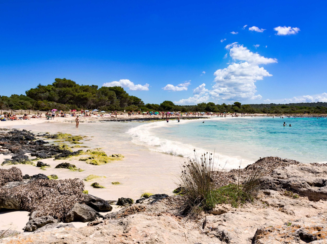 Playa Arenal De Son Saura景点图片