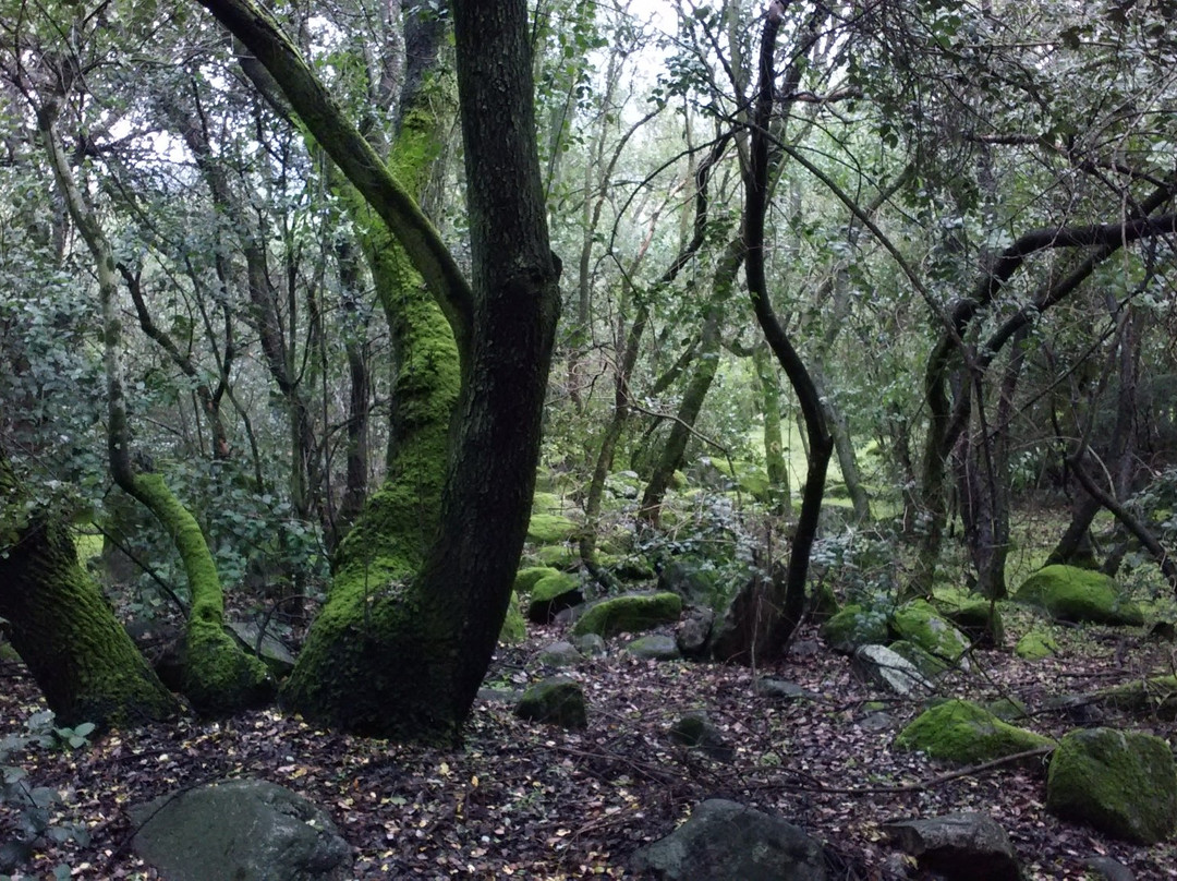 Parque en el Aire-兰卡瓜必去景点