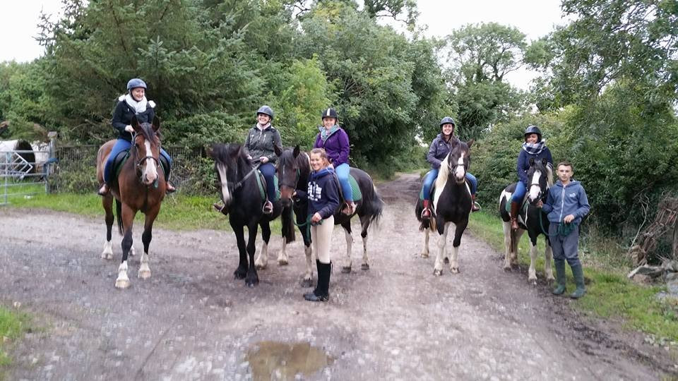 Corballis Farm Horse Trekking & Therapeutic Riding Centre-都柏林必去景点