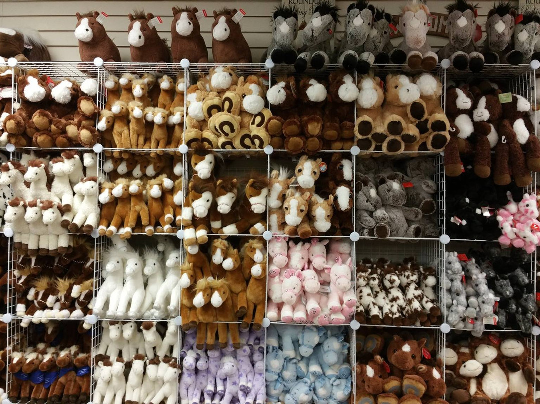 Pony Tails Candy-钦科蒂格岛必去景点