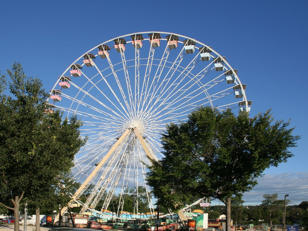 Ferris Wheel in Avignon景点图片