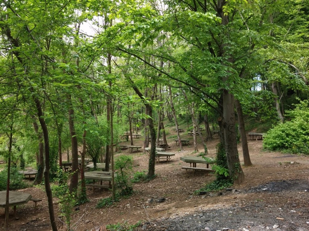 Kaymakdonduran Mesire Ormani-伊斯坦布尔必去景点