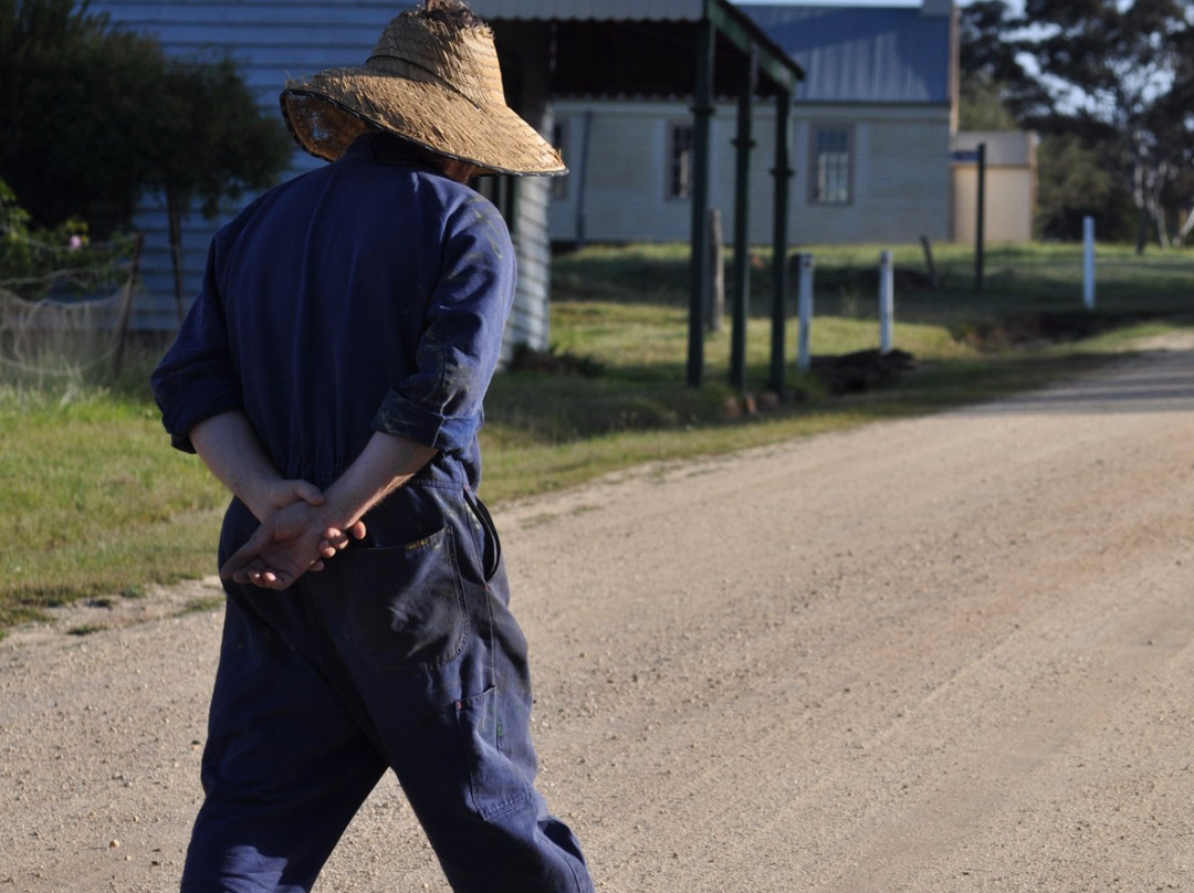 Brisbane Ranges National Park-维多利亚必去景点