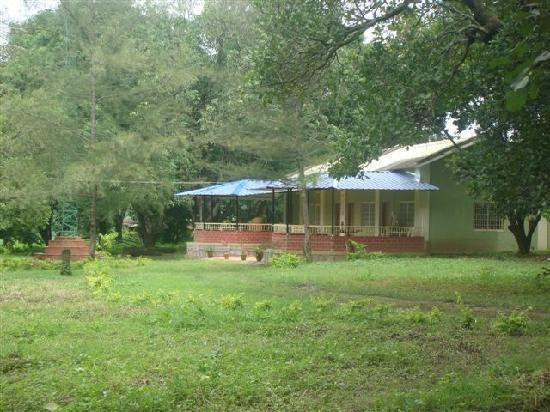 WildWoods Green Cottage Homestay