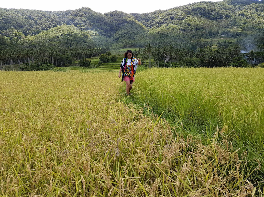 Marinduque Wildlife Sanctuary-Marinduque Island必去景点