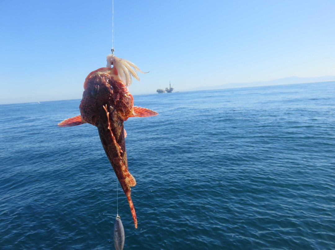 Newport Landing Sportfishing-纽波特海滩必去景点