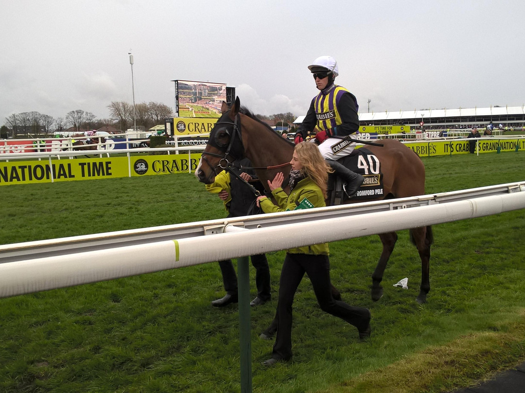Melling旅游景点-Aintree Grand National
