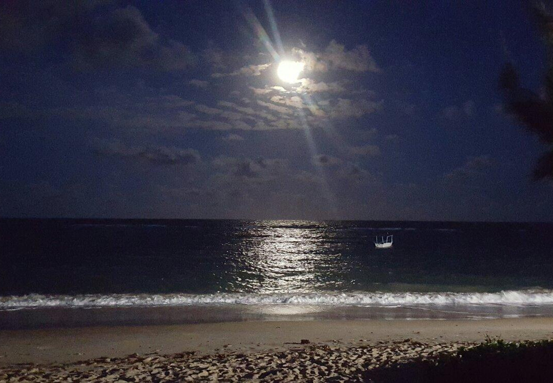 Pousada Flutuante do Mar主图