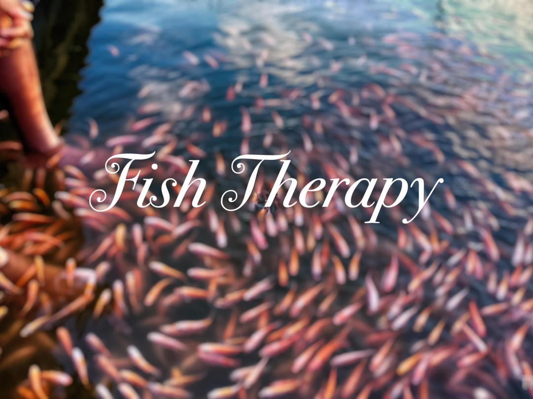 Trekwings-希克杜沃必去景点