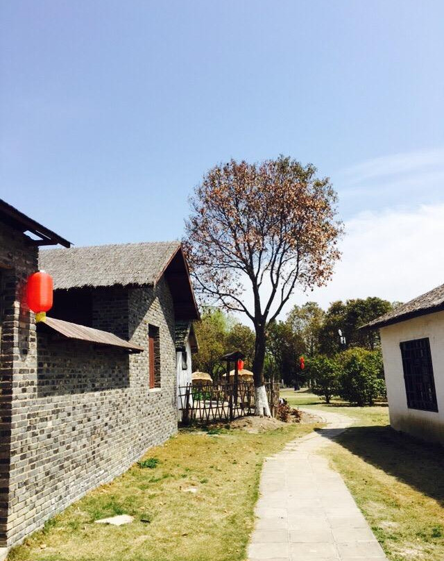 大纵湖湿地-盐城必去景点