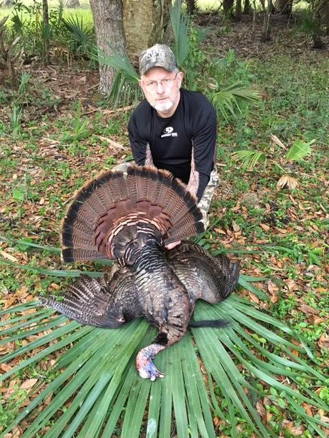 Everglades Adventures-克莱维斯顿必去景点