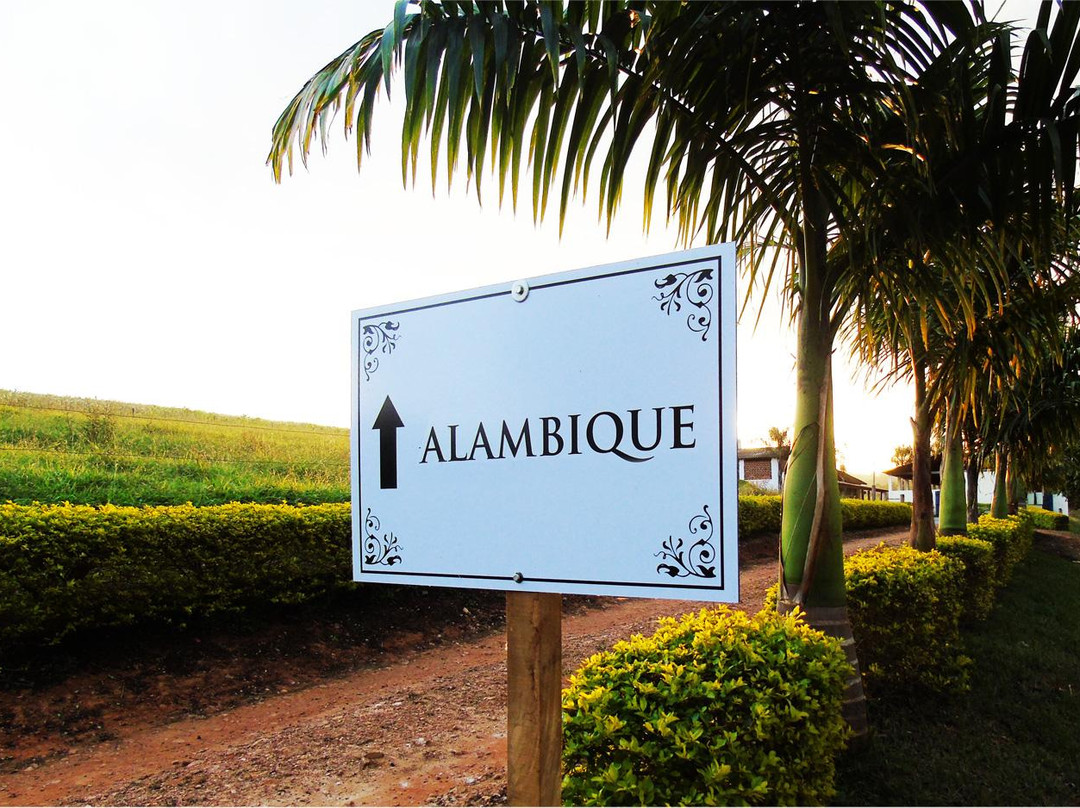 Cachaca Cana & Lua-Alterosa必去景点