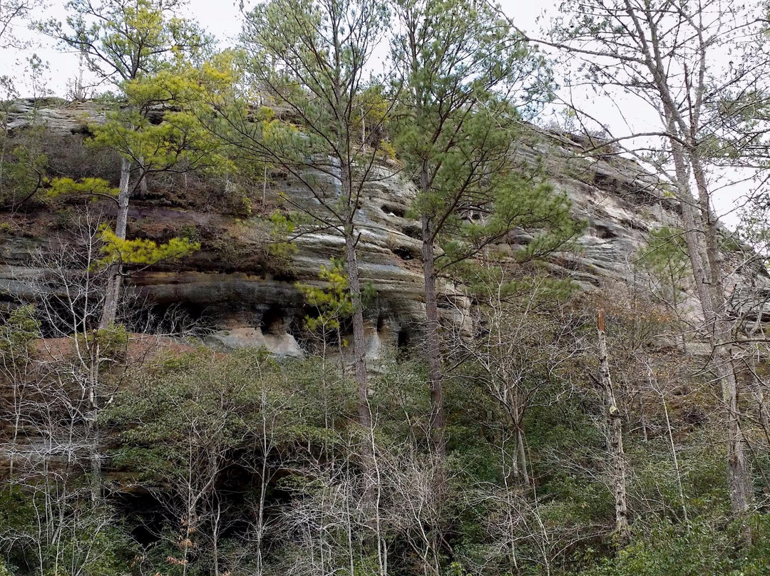 Rock Bridge Canyon Equestrian Park景点图片