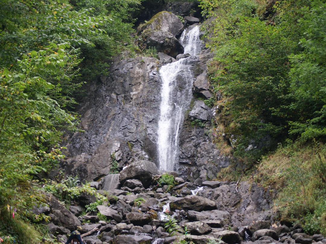 Bzipi旅游攻略图片