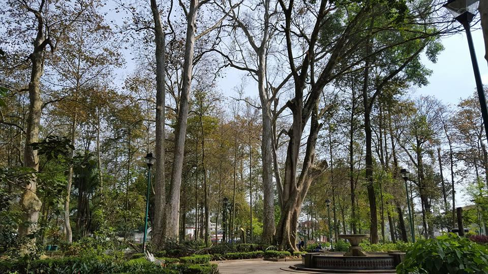 Parque Los Berros-哈拉帕必去景点