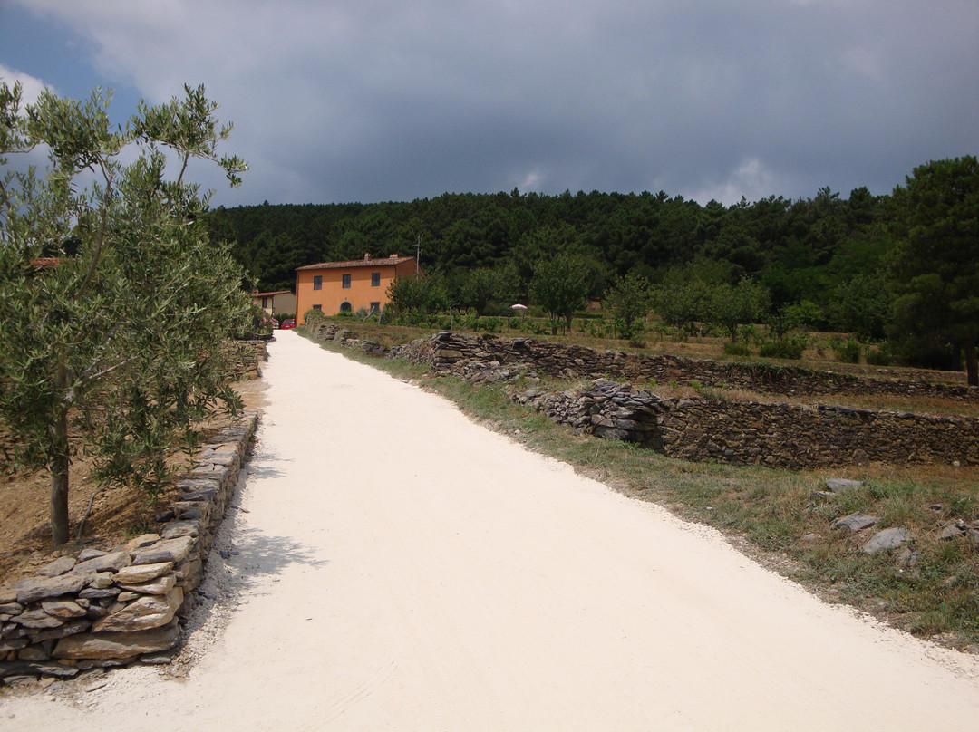 Il Palasso in Cima alla Serra - Tuscany Country House