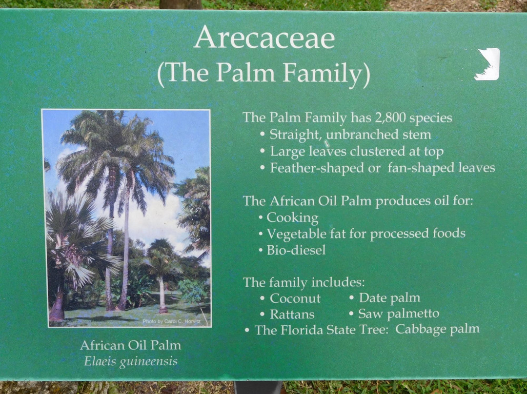 John G. Gifford Arboretum-科勒尔盖布尔斯必去景点