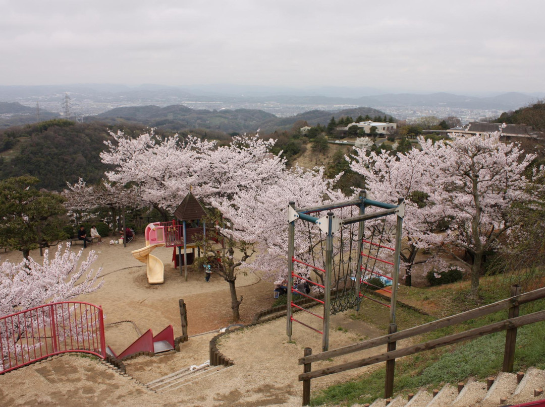 Tanematsuyama Park-仓敷市必去景点