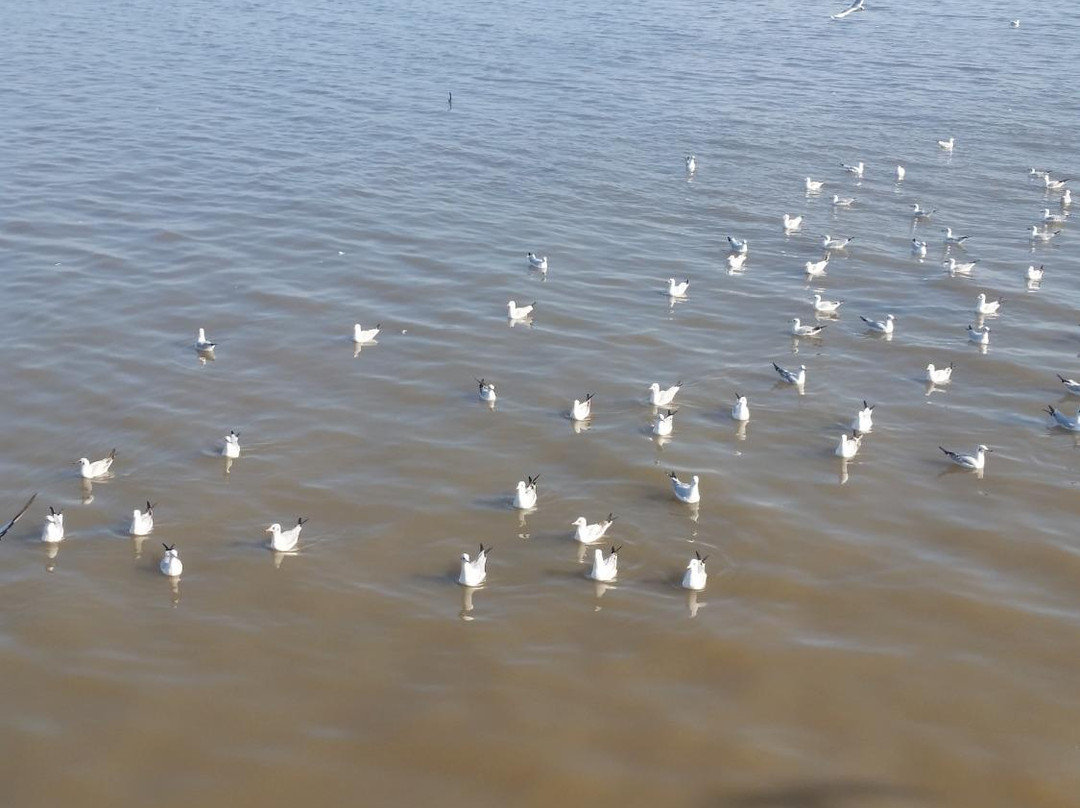 Bangpu Nature Education Center-北揽必去景点