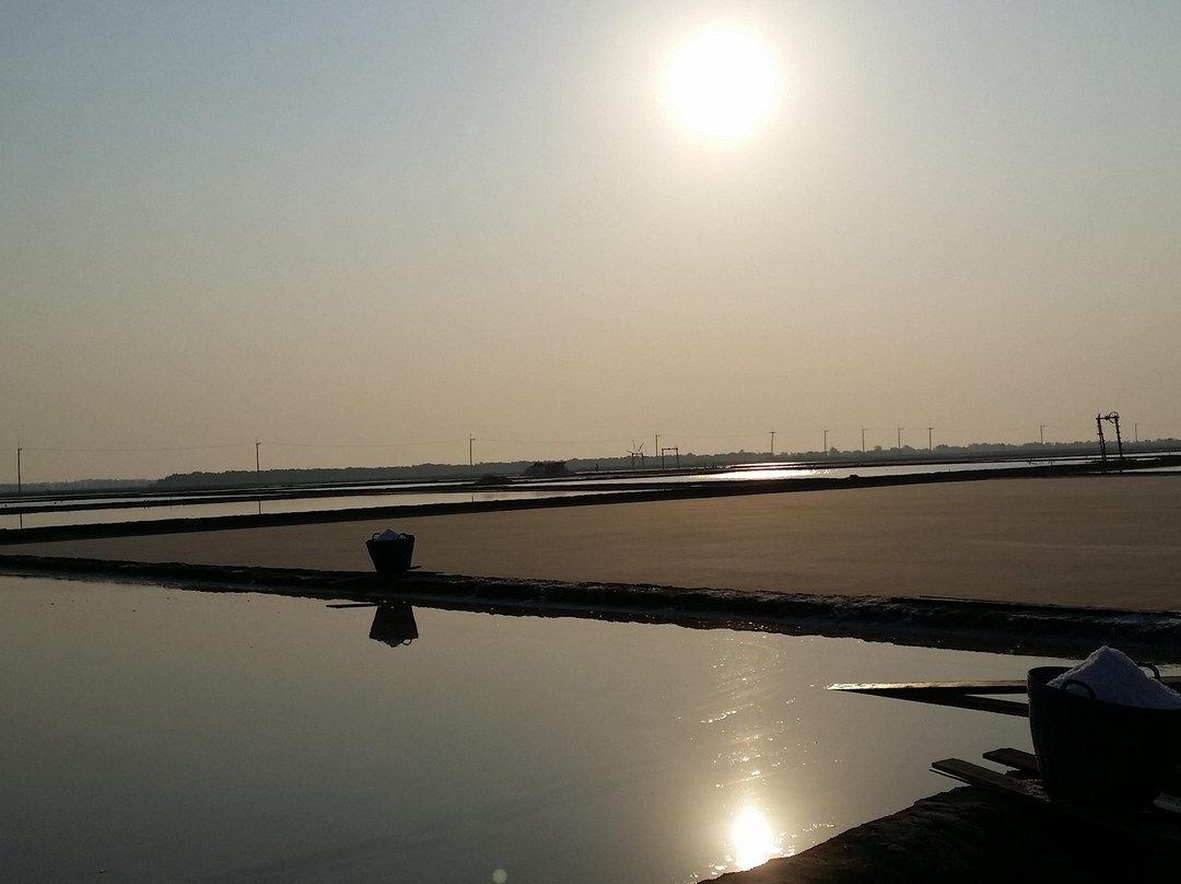 Salt Evaporation Pond-龙仔厝必去景点