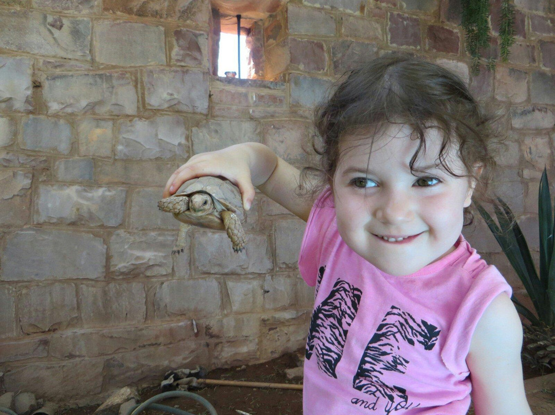 Duwisib Castle-Hardap必去景点