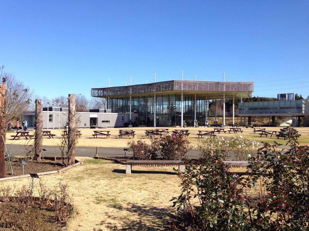 Hokusouhananooka Park-印西市必去景点