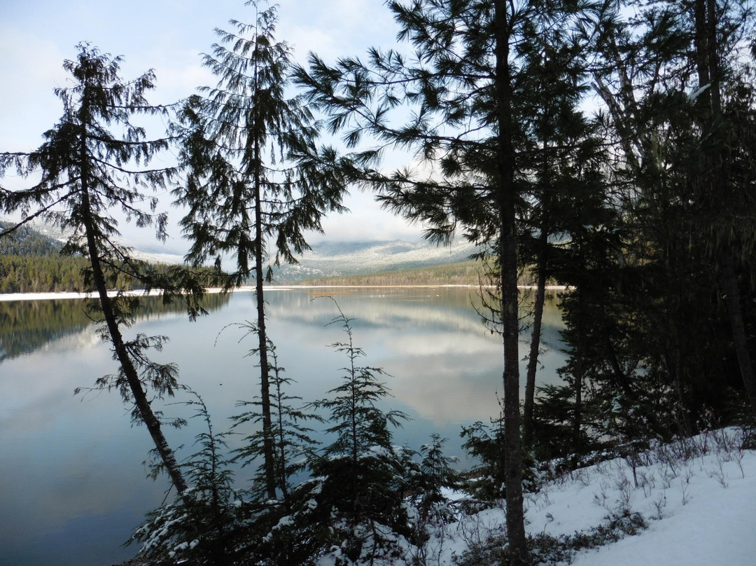 Slocan Valley Rail Trail景点图片