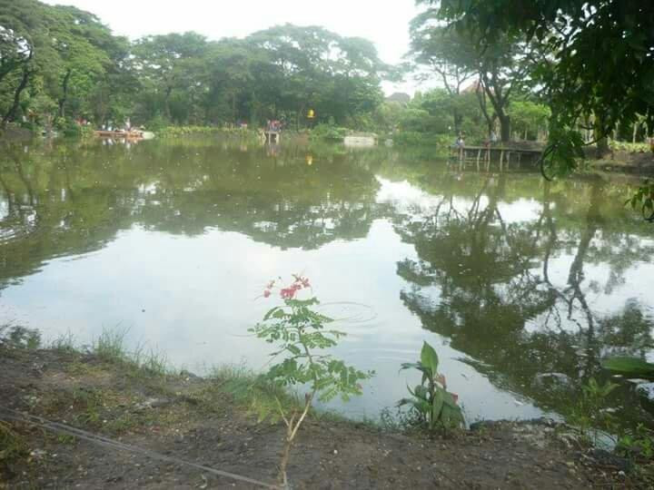 Wonorejo Nursery-泗水必去景点