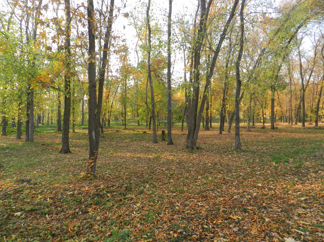 Central Park of Culture and Recreation-Salavat必去景点
