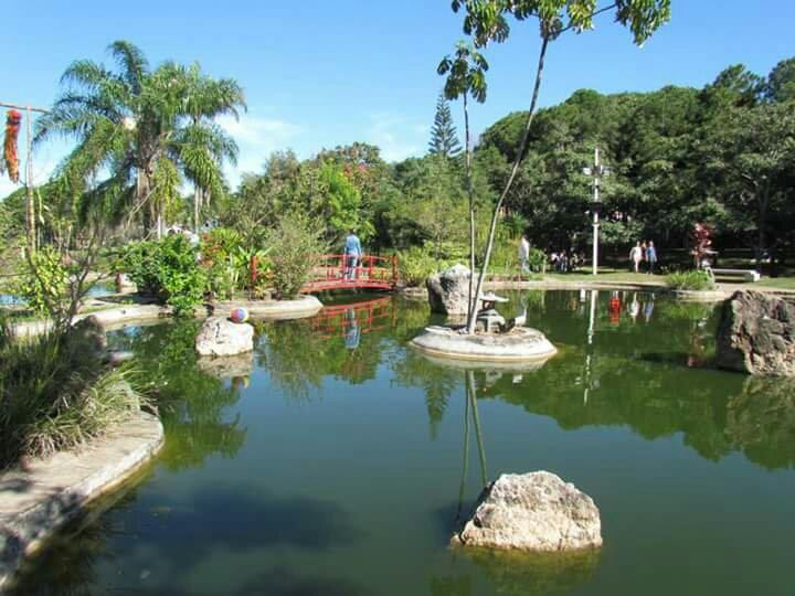 Lago Artificial Prof. J. K. Williams景点图片