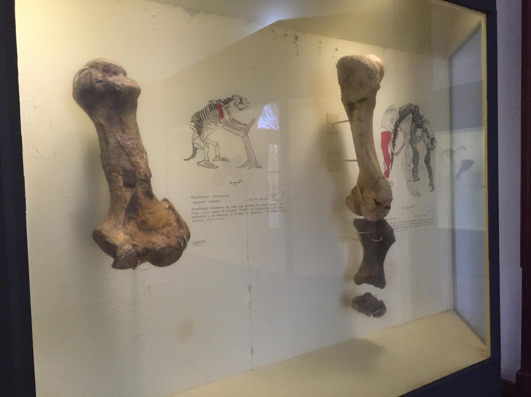 Castillo de Maua-Mercedes必去景点