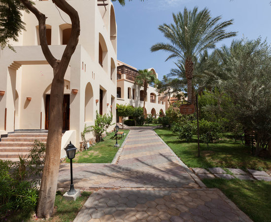 马卡迪湾酒店住宿-JAZ Makadi Saraya Resort