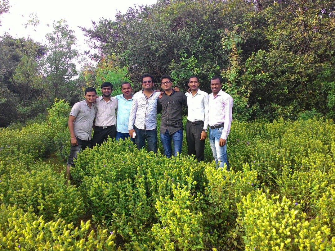 Sunset Spot & Picnic-暹粒必去景点