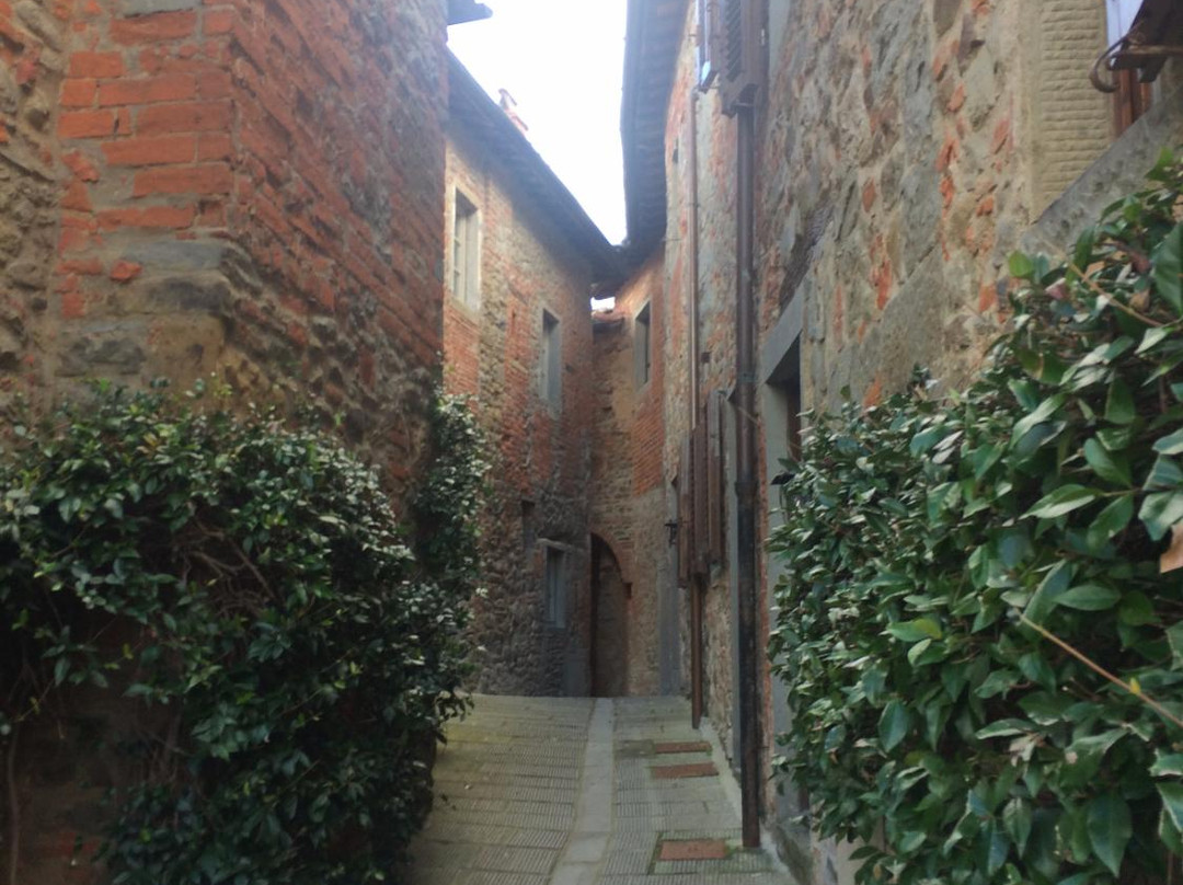 Il Borro La Cantina景点图片
