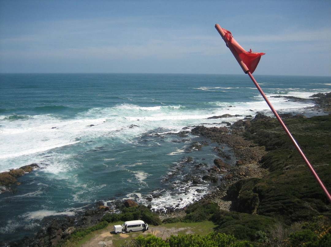 Launceston Kayak Tours-朗塞斯顿必去景点
