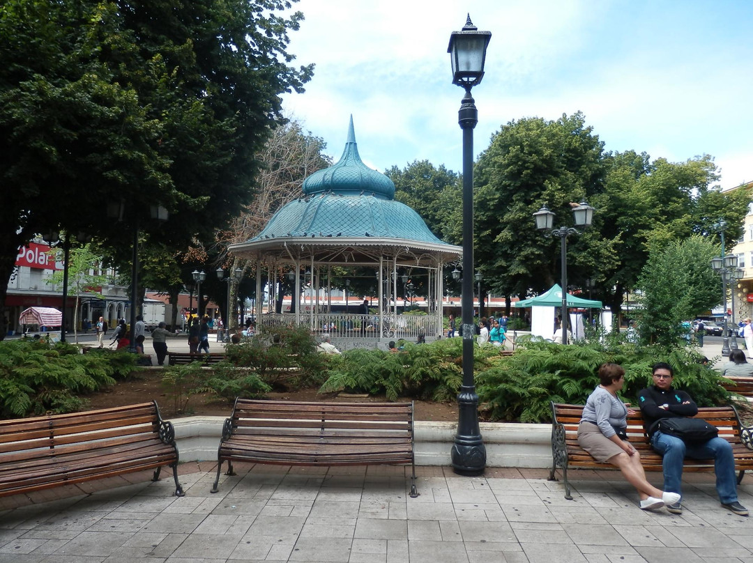 Plaza de la Republica-瓦尔迪维亚必去景点