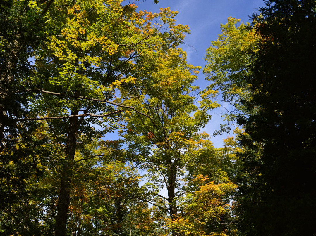 Heber Down Conservation Area-Whitby必去景点