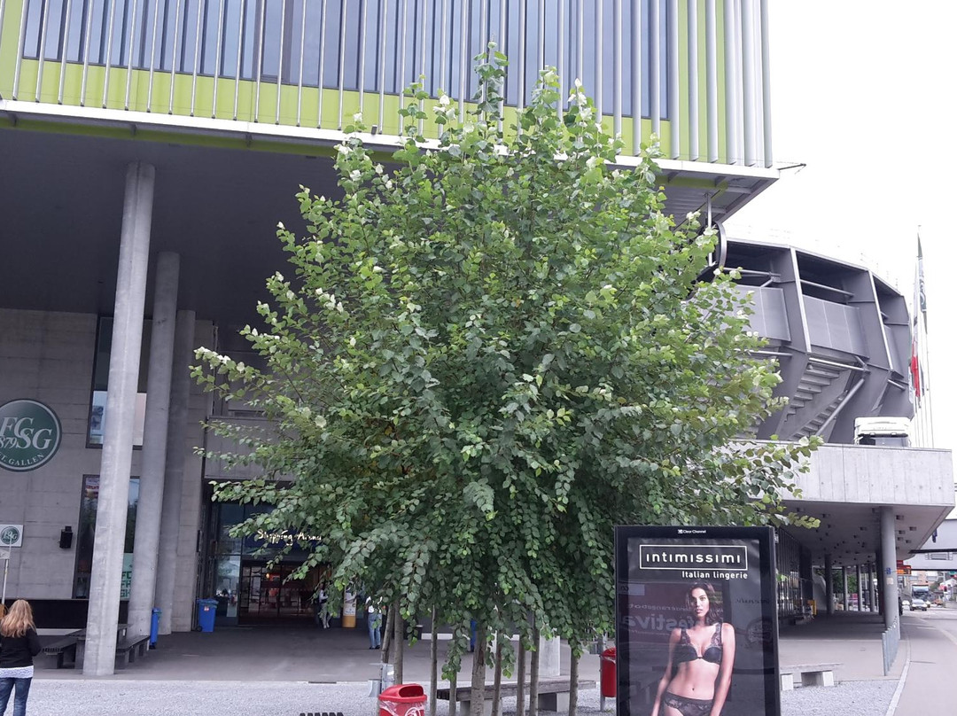 AFG Arena-圣加仑必去景点